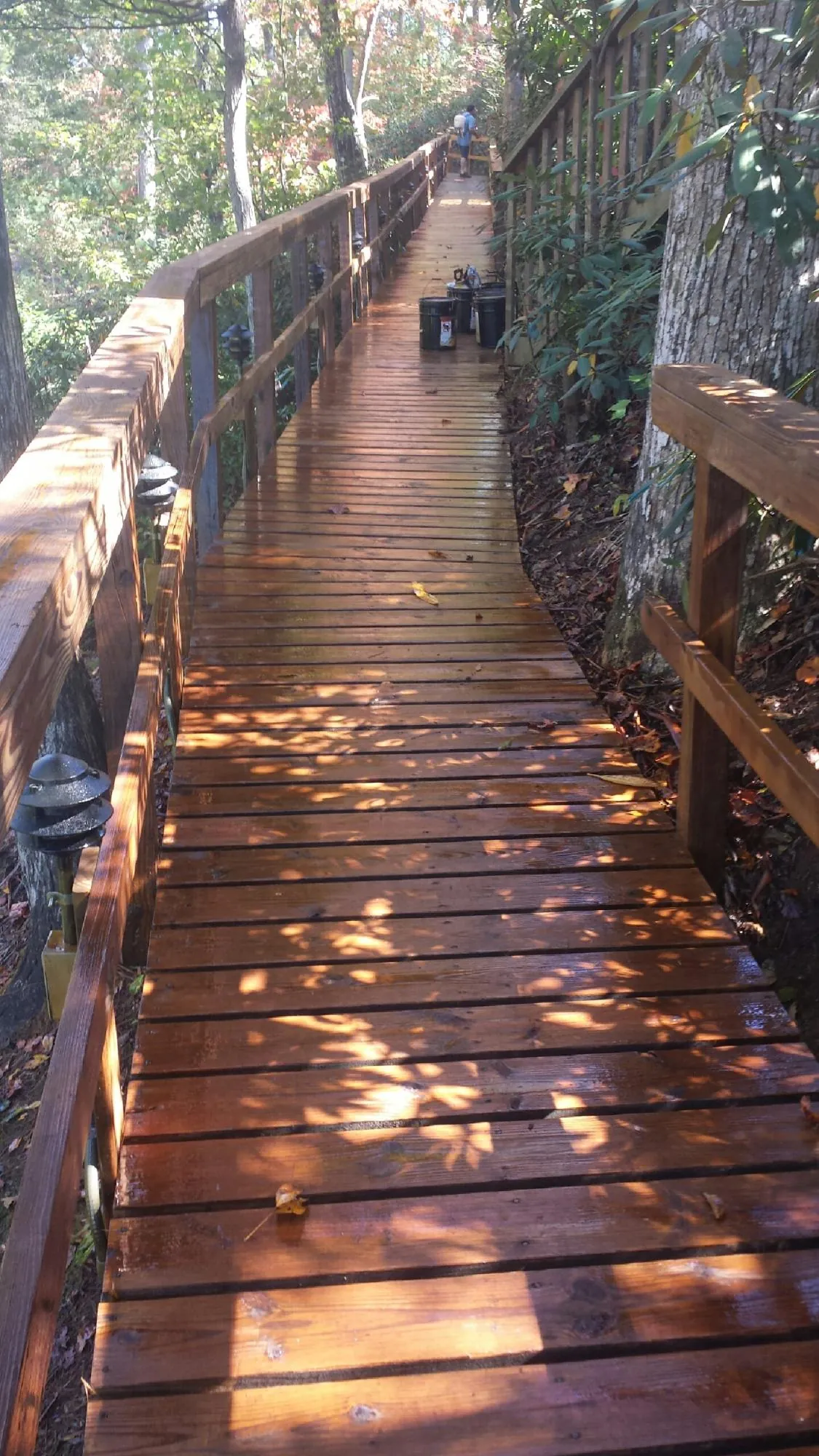 Freshly stained wood walkway winding through the woods in Woodway